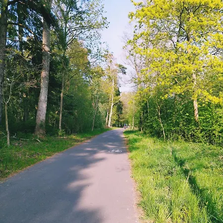 Prázdninový dům Topolanka Mielenko